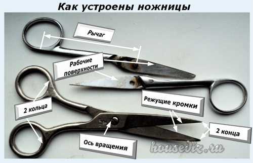 Электрические ножницы по металлу - 125 фото особенностей инструмента