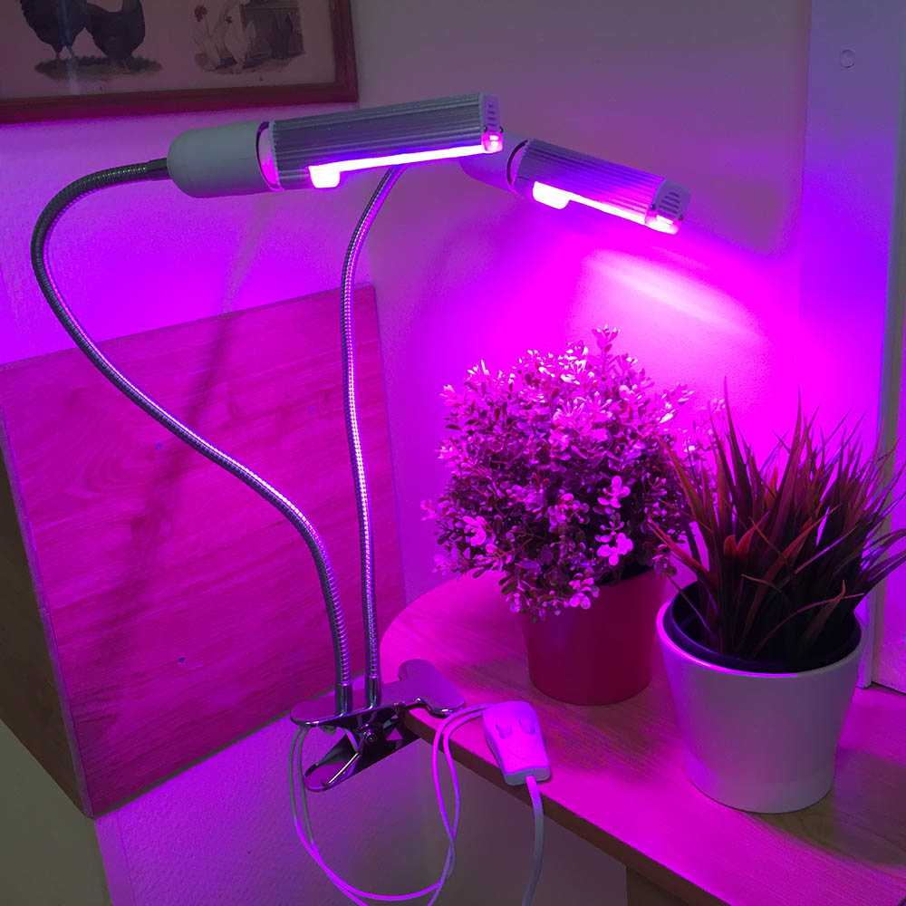 Светодиодные лампы для растений: какие выбрать, виды и характеристики