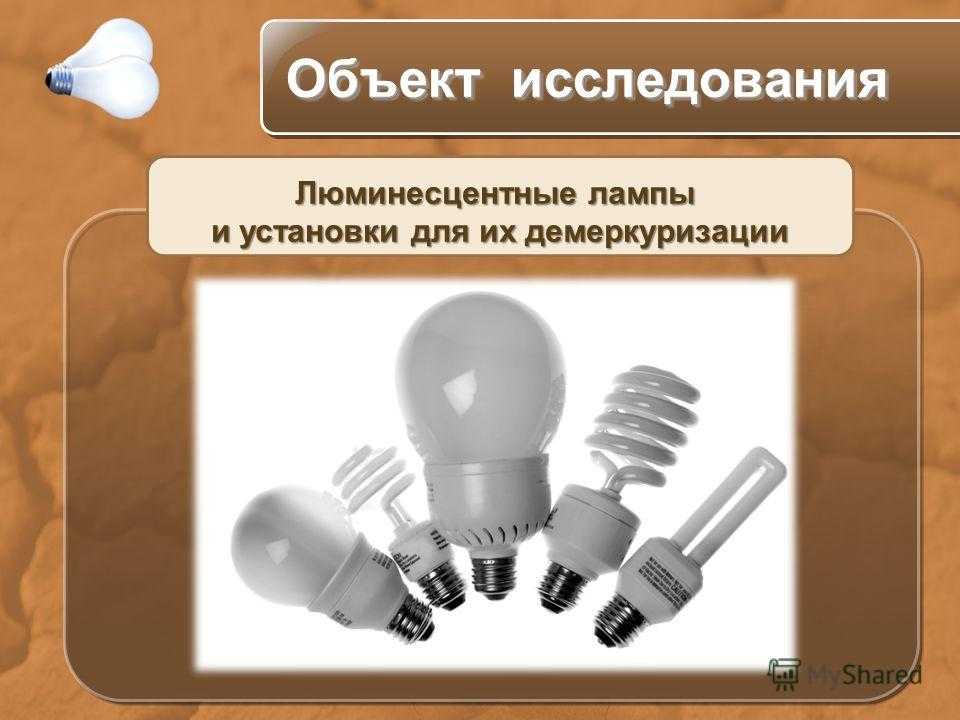 Что нельзя выбрасывать в помойку и куда сдать лампочки и батарейки – москва 24, 06.10.2017
