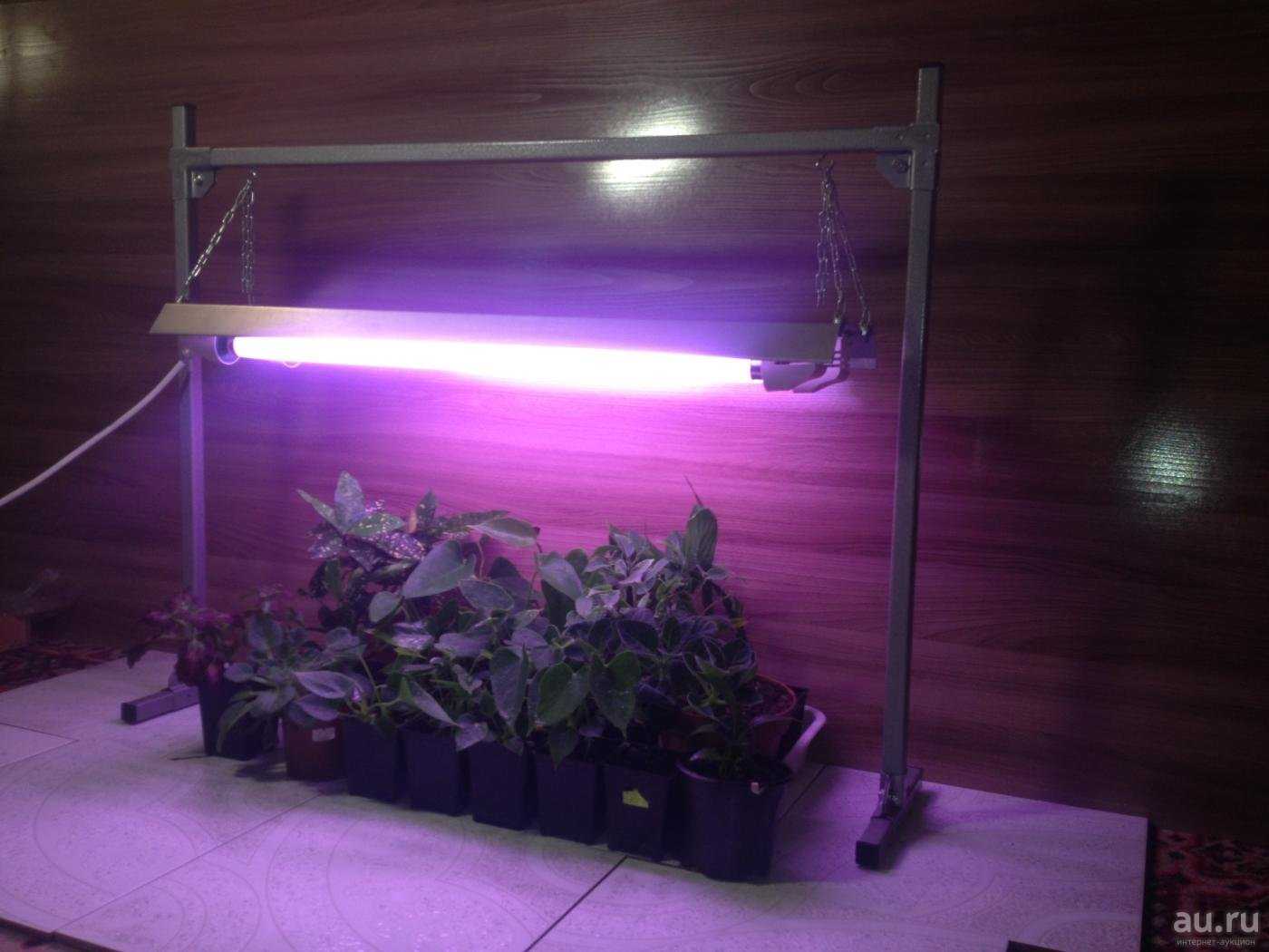 Лучшая подсветка для цветов. Лампа General 6500k 40 Вт для досвечивания рассады. Люминесцентные лампы 36/840 спектра для рассады. Лампа дневного света для растений. Т5 лампа для рассады.