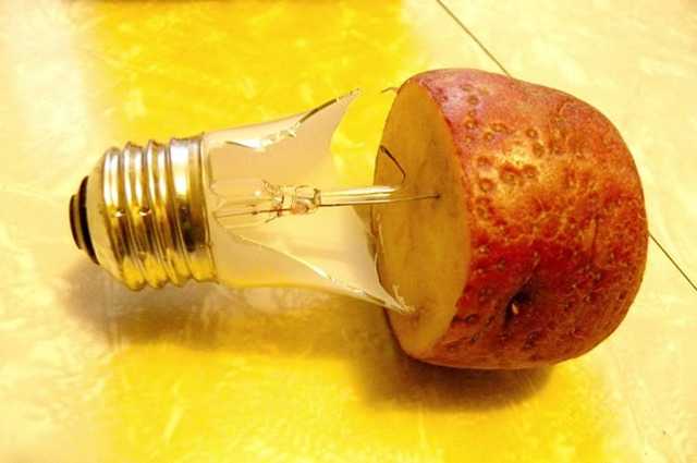 Как разобрать лампочку: реальные советы в помощь мастерам. несколько советов как выкрутить цоколь лампочки из патрона как достать внутренности из лампочки