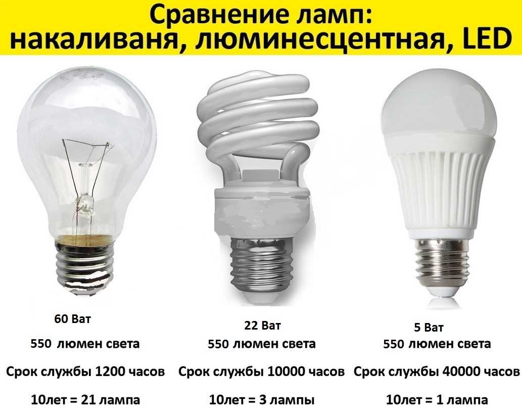 Какие лампы лучше для дома: светодиодные или энергосберегающие