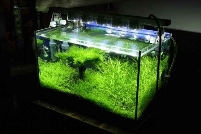 Как сделать светодиодную подсветку аквариума?