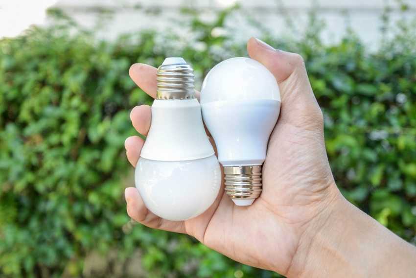 Какие бывают лампочки для дома — разновидности нюансы выбора лучшей