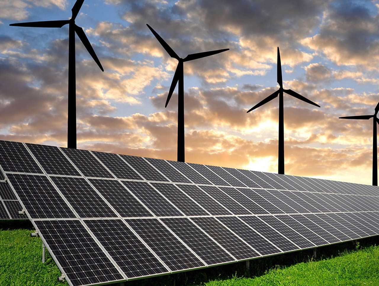 Зелёная эра: как возобновляемые источники энергии конкурируют с углеводородами и аэс