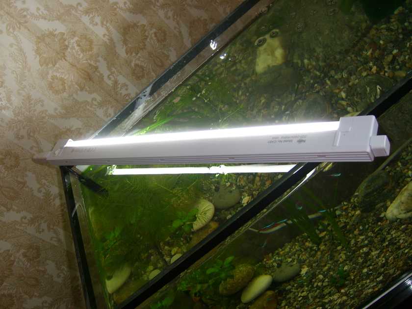 Освещение аквариума своими руками: подбор ламп и расчет мощности