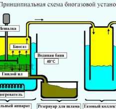 Биогаз из навоза: технология производства, переработка