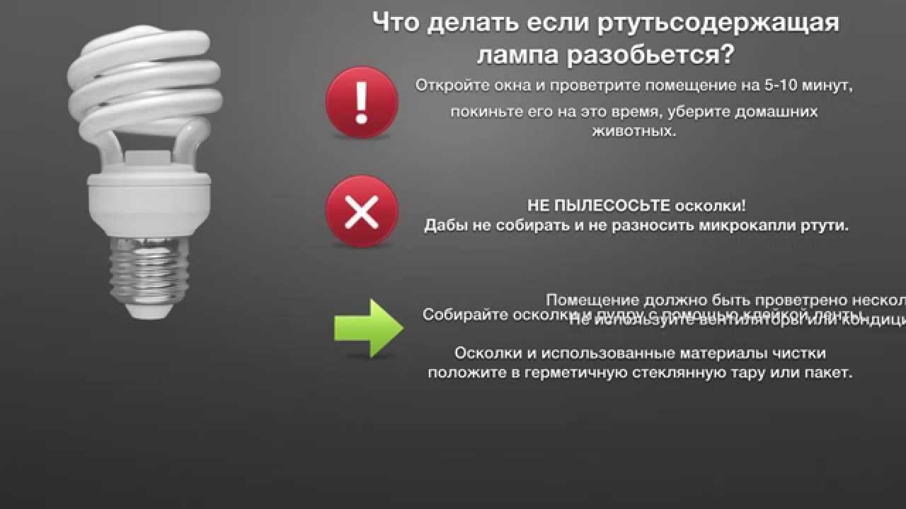 Утилизация энергосберегающих ламп: куда сдавать ртутьсодержащие изделия, пункты приёма в москве и регионах