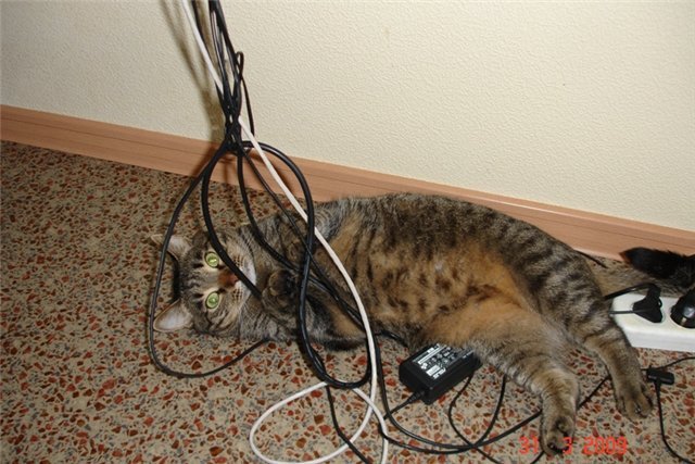 Защита проводов от кошек. кот грызет провода: что делать? проверенные эффективные методы, советы и рекомендации