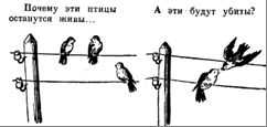 Почему птиц не бьет током, когда они сидят на проводах?