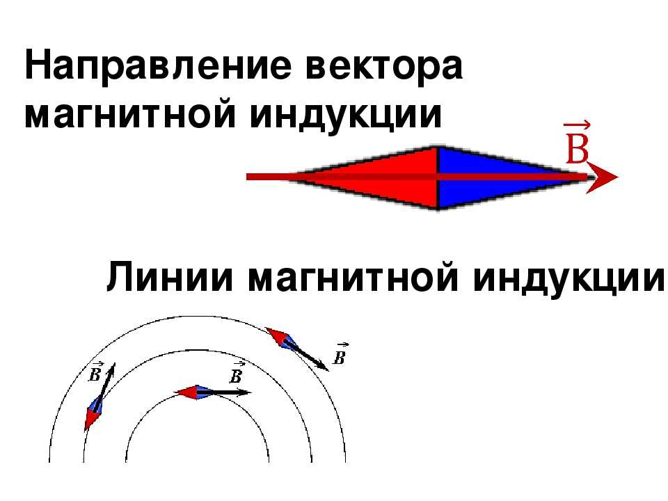 В какую сторону направлена магнитная индукция. Направление магнитных линий и вектора магнитной индукции. Вектор магнитной индукции и магнитные линии. Магнитное поле вектор магнитной индукции. Вектор магнитной индукции и его направление.