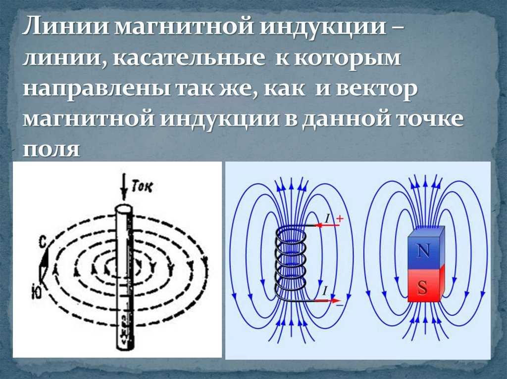 Направление силовых линий магнитного поля можно определить. Магнитная линия и вектор магнитной индукции. Магнитные линии индукции. Вектор магнитной индукции в магните. Линии индукции магнитного поля.