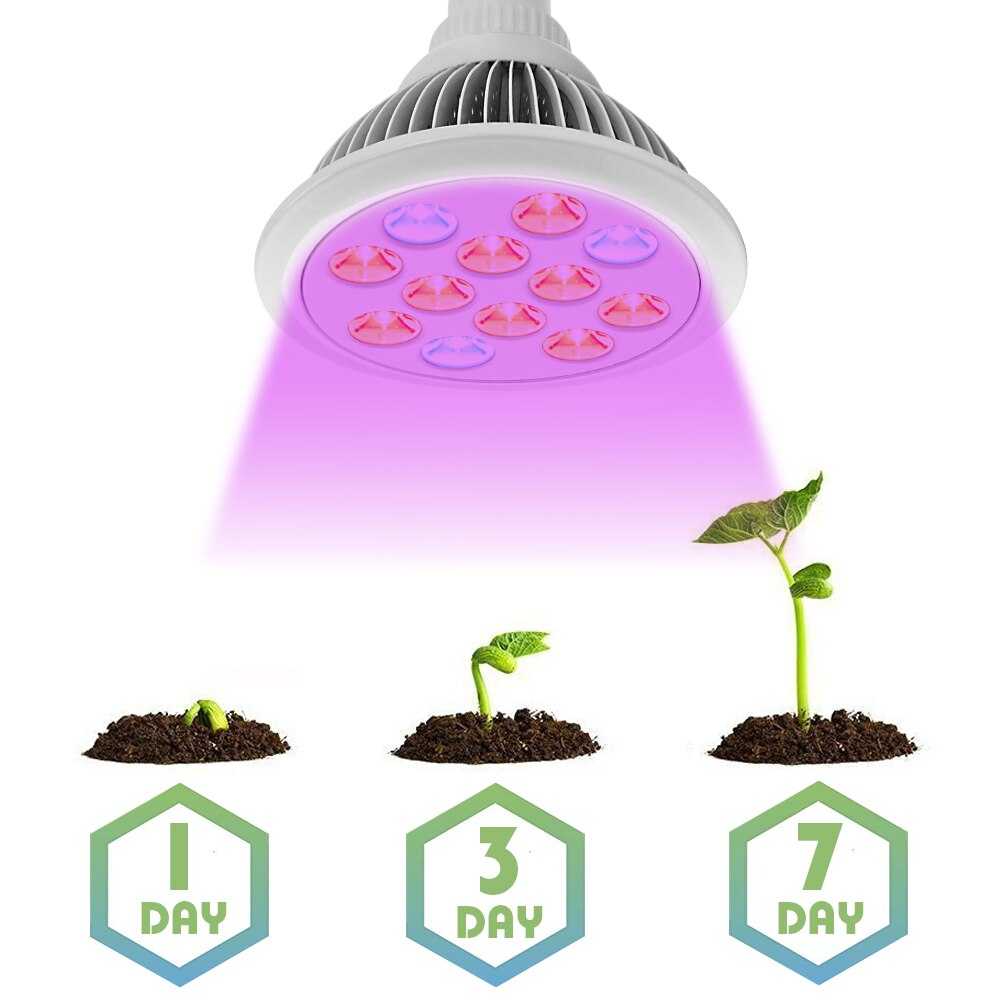 Лампа для выращивания рассады обзор видов и особенности процесса досвечивания.