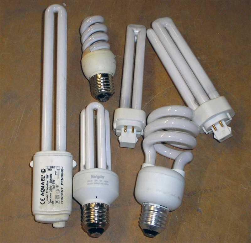 Как правильно утилизировать энергосберегающие лампочки?