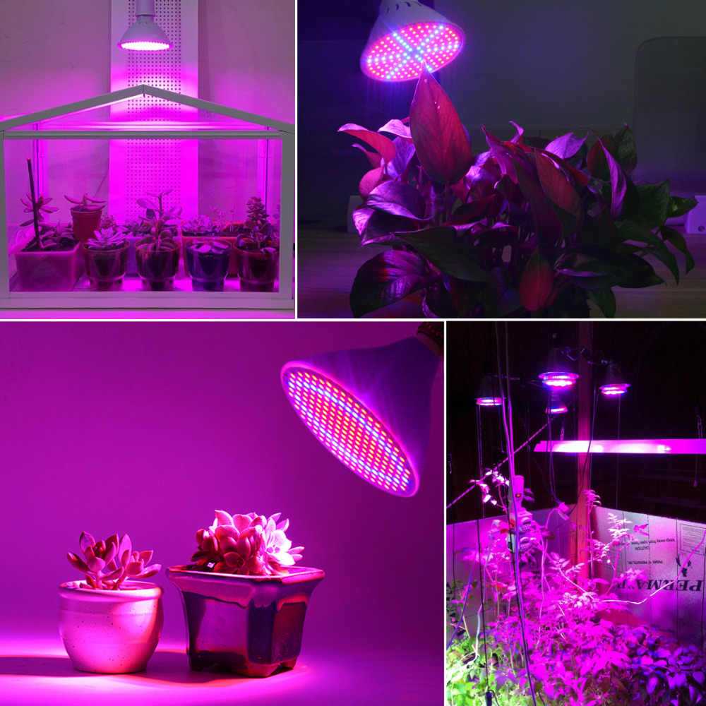 Какие лампы использовать для цветения конопли статья о выращивании конопли