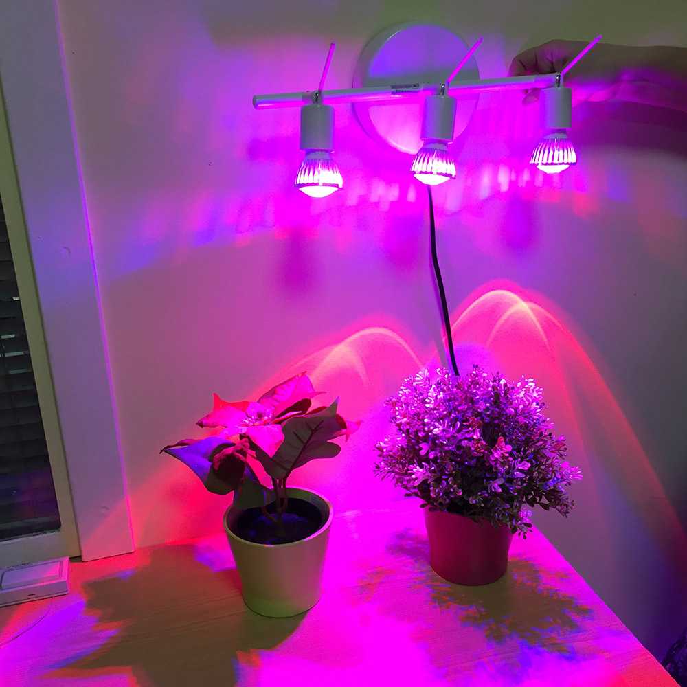 Подсветка для комнатных для растений | мир цветов и растений