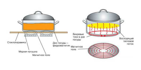 Как работает индукционная плита: плюсы и минусы, принцип работы и отличия от других типов