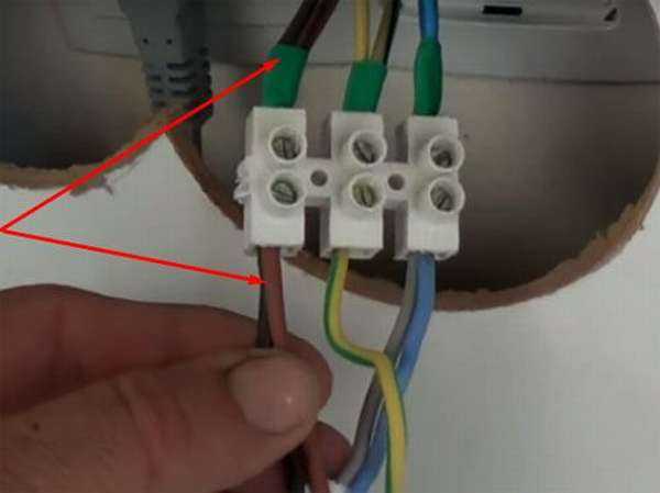Можно ли подключить варочную панель в обычную розетку? - электрик