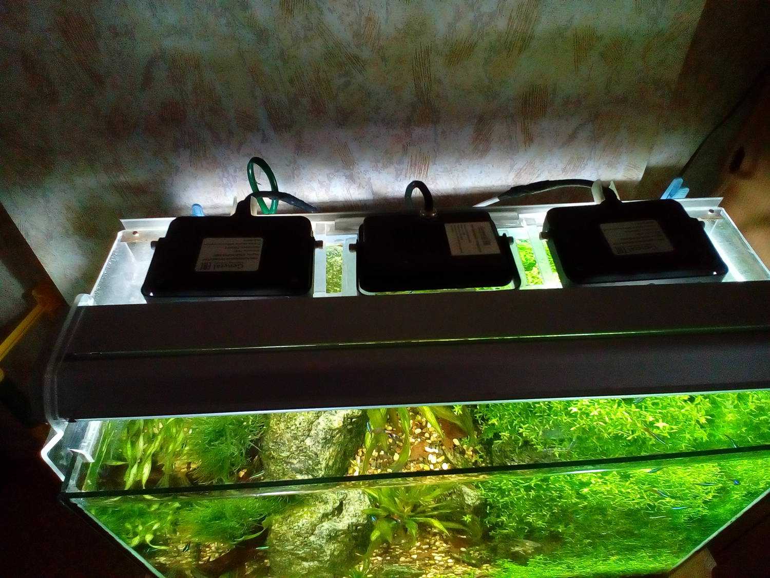 Освещение для аквариума своими руками: нормы, лампы, устройство