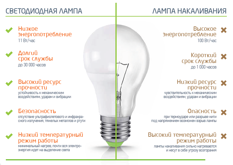 Энергосберегающие лампы: преимущества, особенности, виды, критерии выбора