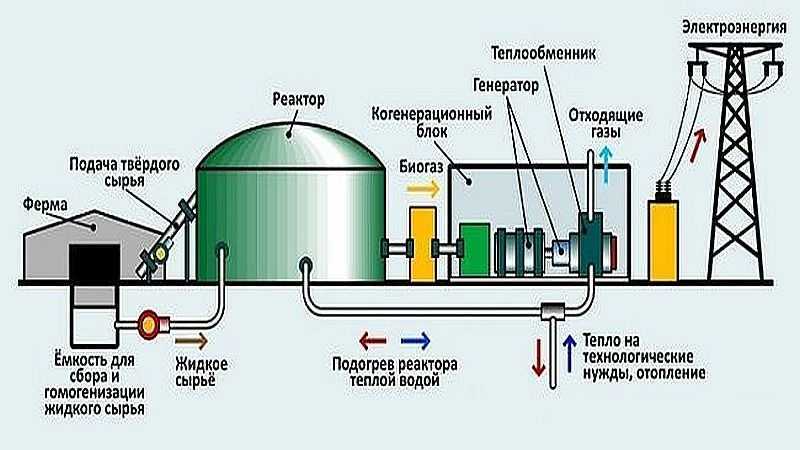 Биогаз своими руками в домашних условиях, схема биогазовой установки
