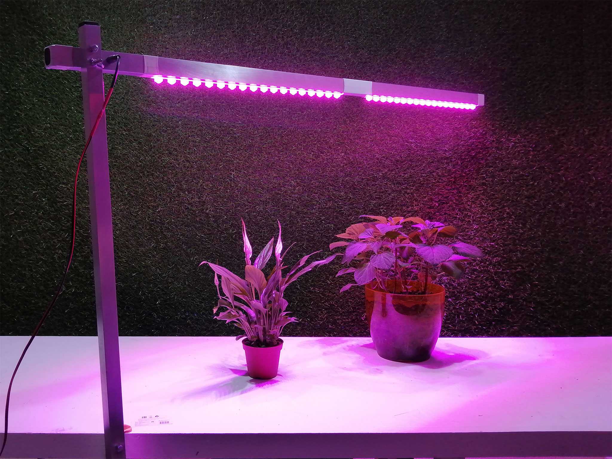 Какие лампы для растений лучше выбрать и использовать