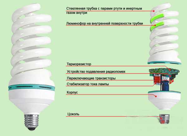 Куда можно сдать энергосберегающие лампочки, отслужившие свой срок?